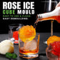 2 Tier Convenient Push-In Ice Cube Mold with Tray Case