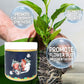 Detroit®Special Bone Meal Organic Fertilizer - Promote The Growth of Flowers and Fruits🔥