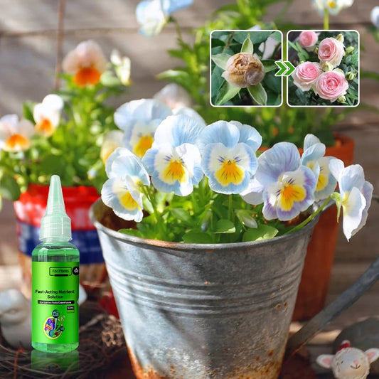 First Aid Soil Culture and Hydroponic Plant Resurrection Solution