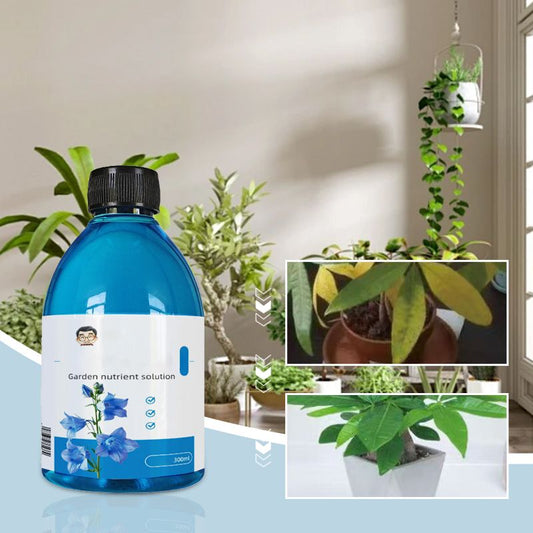 Concentrated Nutrient Solution for Flowers and Plants